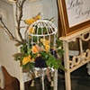 Birdcage