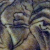 b/g rose