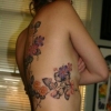 maylin2