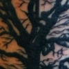 oak