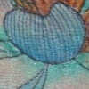 lotus