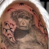 ape