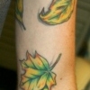 leaves2