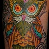 owl color