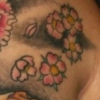 coverup2