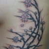 blossom