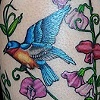 birdsweetpeas