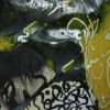 Diaphanous