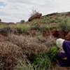 Photographs by Julie Laffin