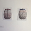"Brain Change" installation with live massage. The Comfort Station Gallery, Chicago.