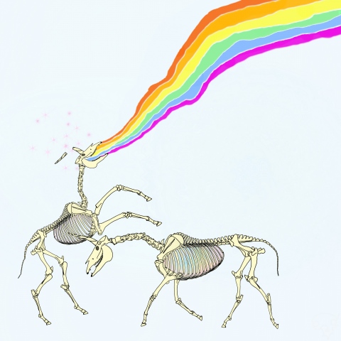 unicorn battle