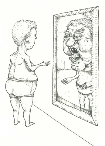 perfly mirror