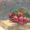 Radishes