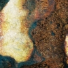 Fraser Island Rust
