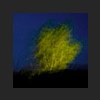 'night light'