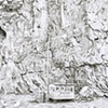 Detail - Landscape Simulation: Gordale Scar, North Yorkshire England/Checkpoint Charlie, Berlin, Germany