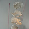 Generative Forms
