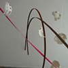 Generative Forms