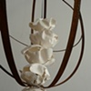 Generative Forms