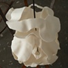 Generative Forms