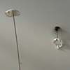 Generative Forms