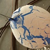 Generative Forms