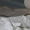 Generative Forms