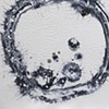 Zygote Evolution