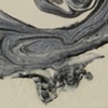 Zygote Detail Top