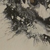 Zygote Detail Bottom