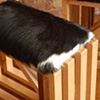 Kucinich Stool