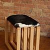 Kucinich Stool
