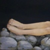 Narcissus