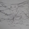 WEB