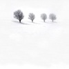 Four Trees