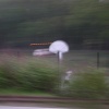 Commute #16 (basketball)
