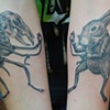 Rabbit- before and after