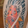 Koi upstream