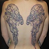Fancy wings