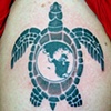 World turtle