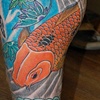 Koi 1