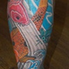 Koi 3