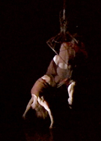 Roots performance shot
