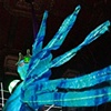 Sea Creatures