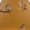 Bird Cage open