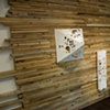 Exhibitions