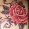 Roses