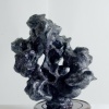 Contemplation: Trash (detail)
