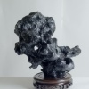 Contemplation: Trash (back view)