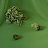 chromium oxide green